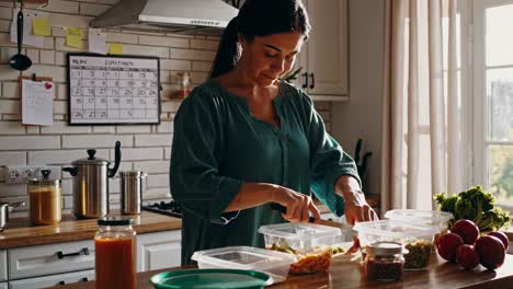 woman preparing healthy meals