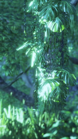 close-up of lush tropical rainforest vegetation