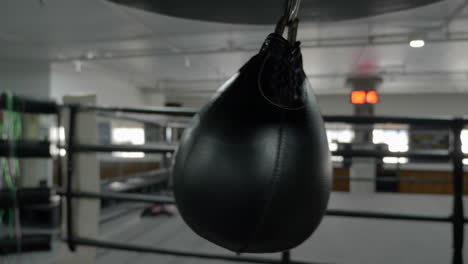 detail of moving punching ball speed bag