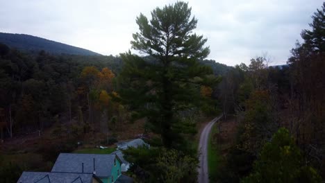 Aerial-jib-down-over-small-road-cottage-houses-surrounded-by-colorful-autumnal-trees-in-dense-forest,-hills-in-background-on-a-cloudy-day,-Bloomsburg,-Pennsylvania,-USA