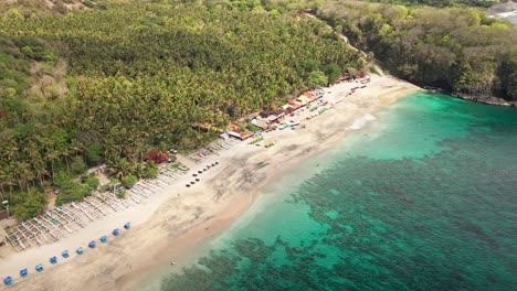 dense palm trees next to the beautiful ocean with corals and beach