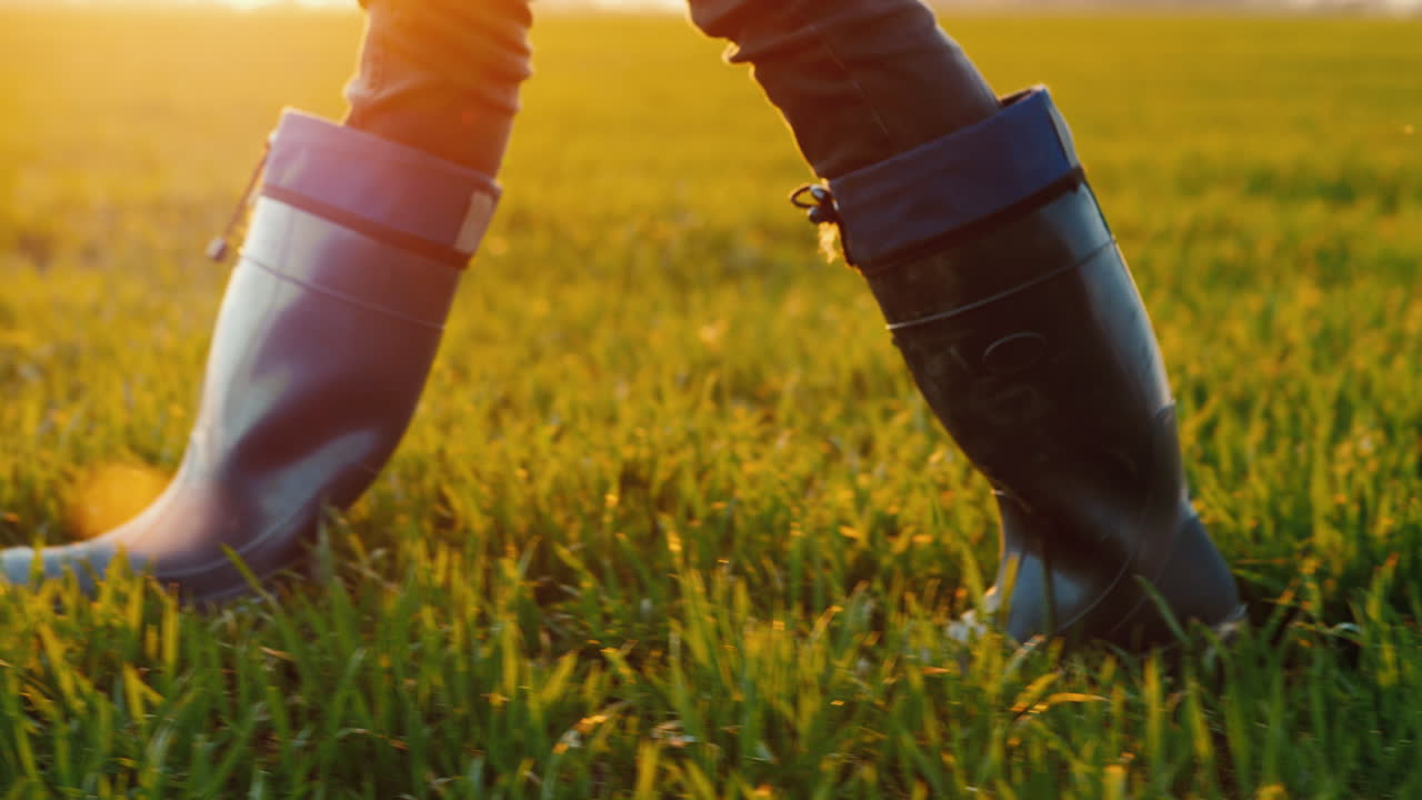 고무 장화를 신은 농부가 녹색 들판을 가로질러 걷고 있습니다. 프레임 스테디캠 fol에는 다리만 보입니다.