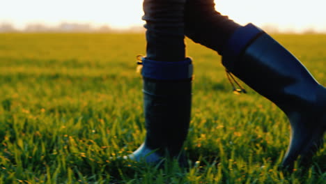 A-Farmer-In-Rubber-Boots-Walks-Across-A-Green-Field-Only-Legs-Are-Visible-In-The-Frame-Steadicam-Fol
