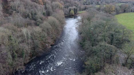 Schnell-Fließender-Herbst-Wald-Geschwungene-Landschaft-Fluss-Luftbild-Dolly-Rechts