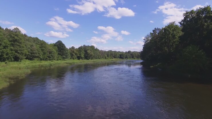 Winding Neris River on a Sunny Summer Day. Aerial Flying Low Forward