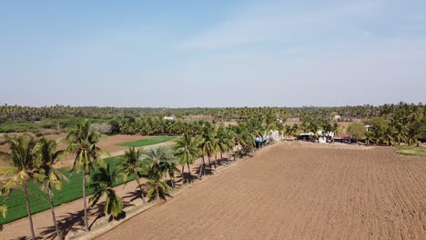 revealing drone shot of big farms with coconut trees border in gujarat, india, background video