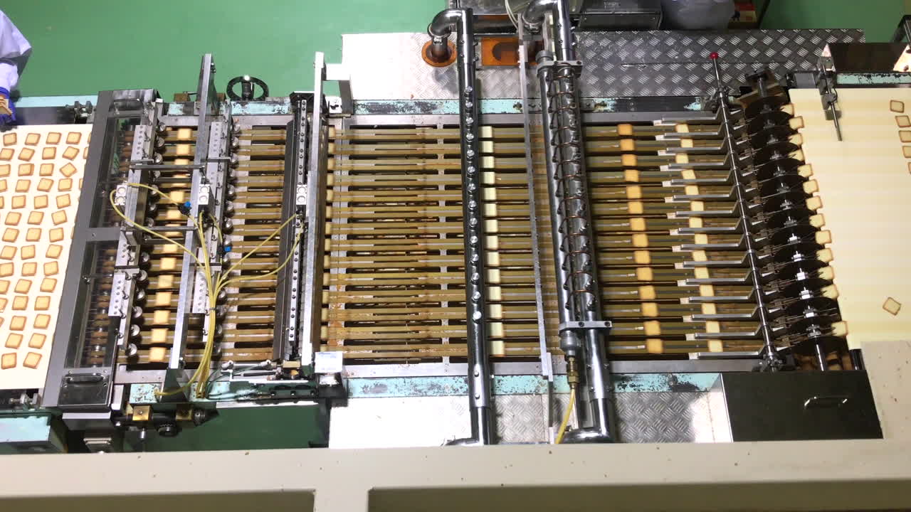 hacer galletas máquina en línea de producción