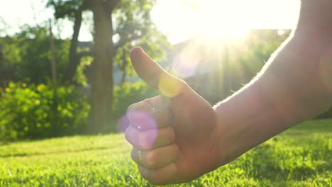 close up of male hand showing thumbs up gesture in front of camera representing pleasant weather in lush green park