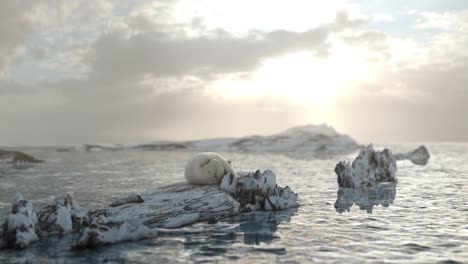 polar bear on melting ice