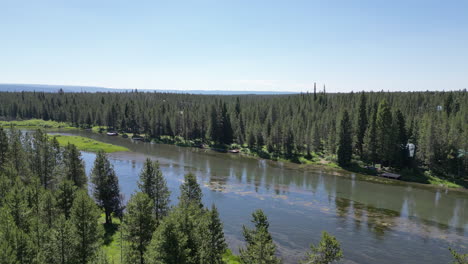 large slow moving river hidden behind evergreen trees