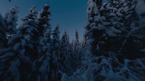 Impresionante-Vuelo-De-Drones-En-El-País-De-Las-Maravillas-Del-Bosque-Nevado-Durante-El-Cielo-Azul-Al-Atardecer