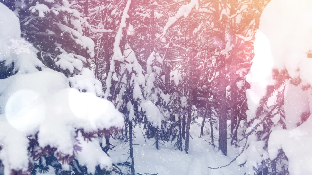 Animation af glødende lyspletter over faldende sne og vinterlandskab med grantræer