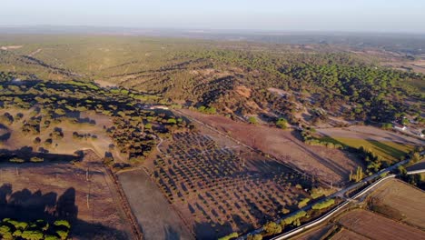 drone shot tilting down over some farming fields in portugal