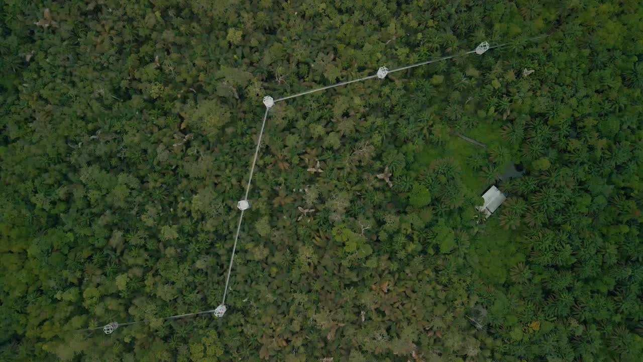 la pasarela de dosel más larga de áfrica con conservación de la naturaleza y la vida silvestre en lekki