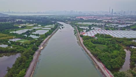 a dynamic ascending aerial footage above the shan pui river in yuen long, hong kong