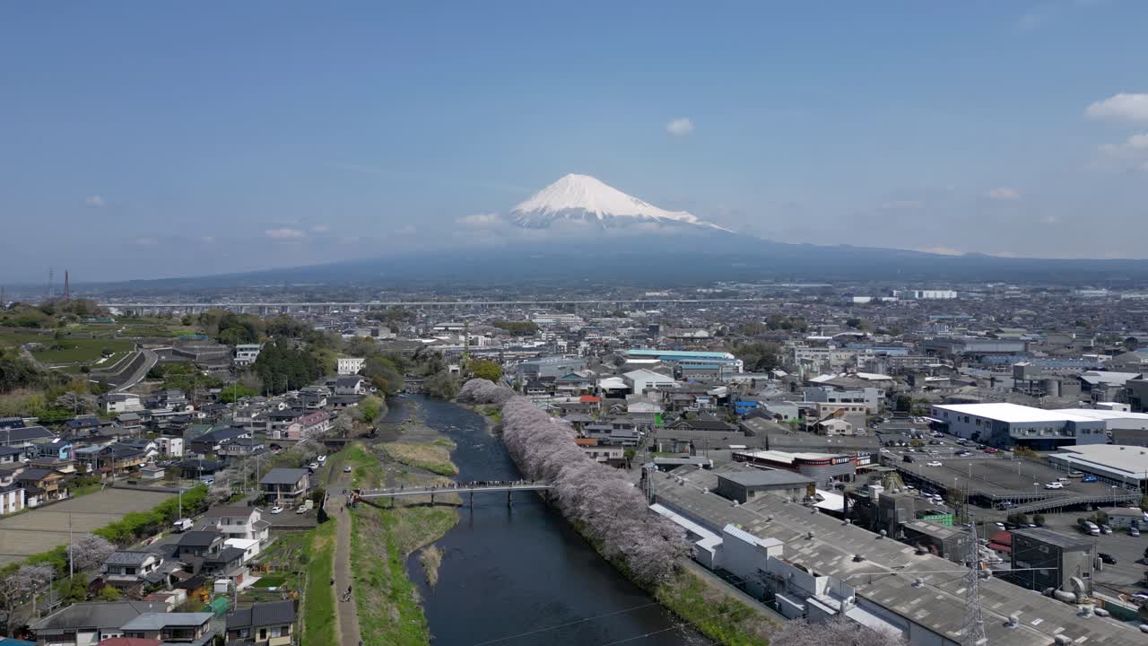 Stunning high above drone flight over river, cherry blossoms and Mt. Fuji