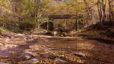 low drone footage over small river in autumn-3