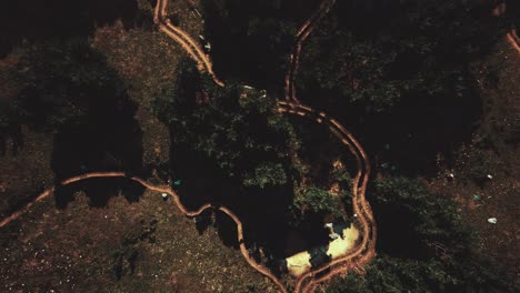 aerial view of the road through the forest