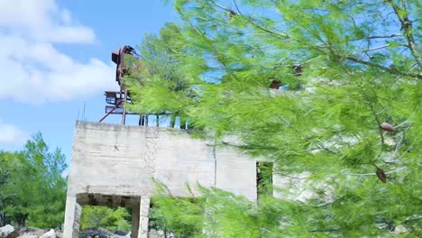 abandoned industrial site surrounded by pine trees