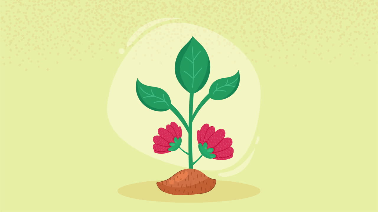 정원 자연 식물 생태 애니메이션