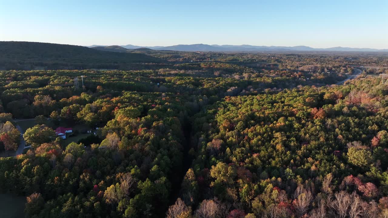 Aerial establishing shot of forest landscape with colored leaves in autumn season. Houses between trees in scenic suburb district of American town. Quiet golden hour scene in USA. Descend shot