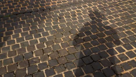 A-man-casting-his-own-shadow-while-standing-on-a-brick-street-pavement-as-other-people-pass-by-casting-their-own-shadows-as-well