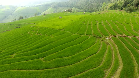 Rice-field-terrace-on-mountain-agriculture-land.