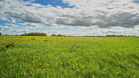 Lapso-De-Tiempo-De-Campo-De-Verano