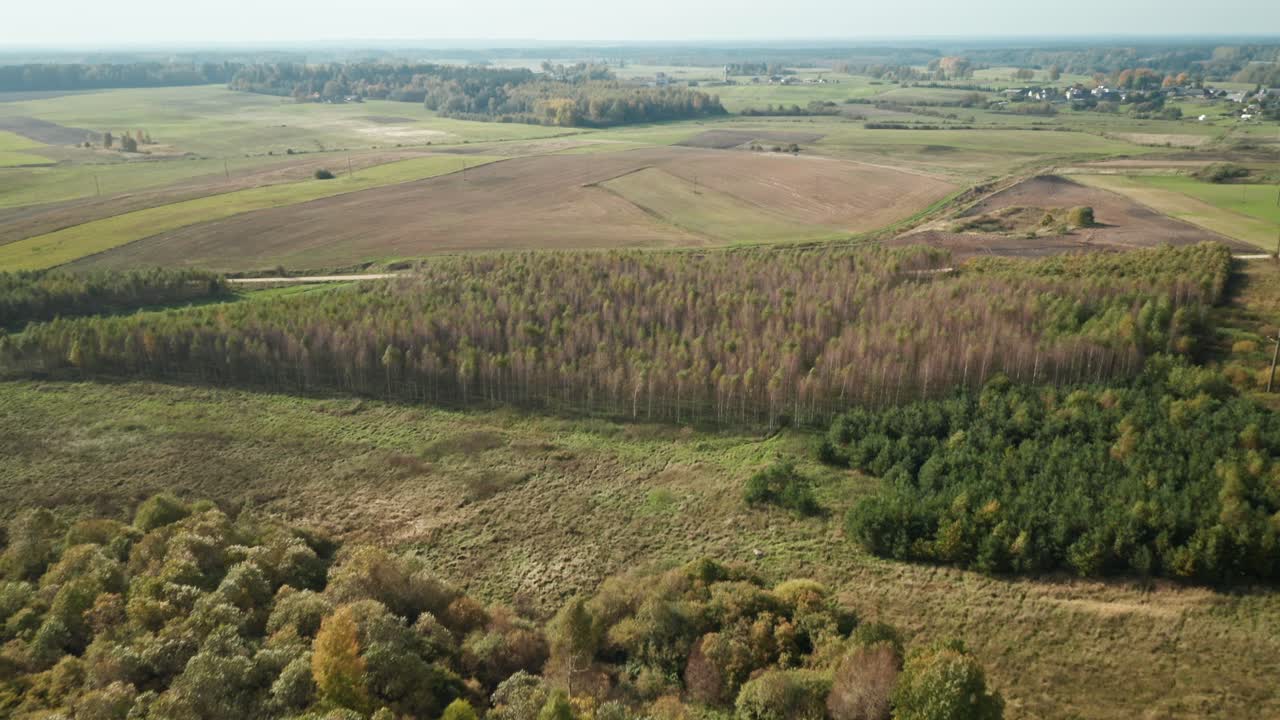 антенна: осенний сезон на фоне леса и равнины