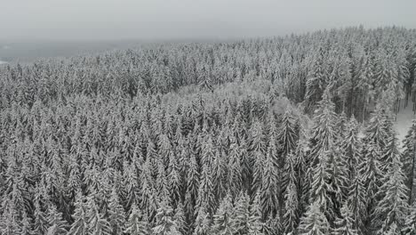 Drohnenflug-Verschneite-Landschaft-Im-Schwarzwald-Deutschland