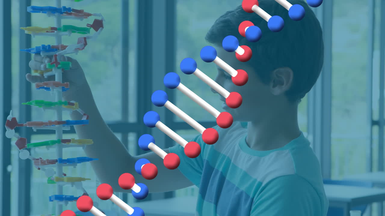 animación de una cadena de adn sobre un escolar caucásico con un modelo