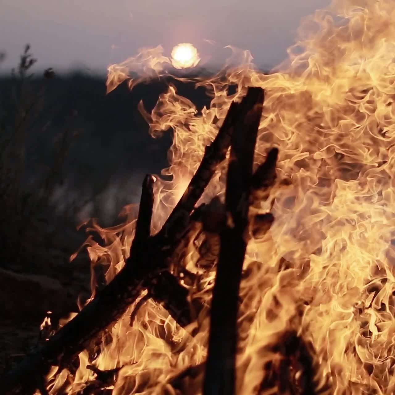 Big Night Bonfire On The Riverbank