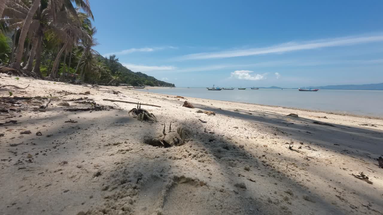 Timelapse of clouds over Koh Phangan beach with crabs crawling in the sand and anchored boats gently swaying in calm waters