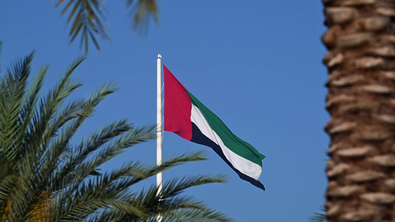 The UAE flag waving on the flagpole, framed by palm trees, at Sharjah Flag Island in the United Arab Emirates