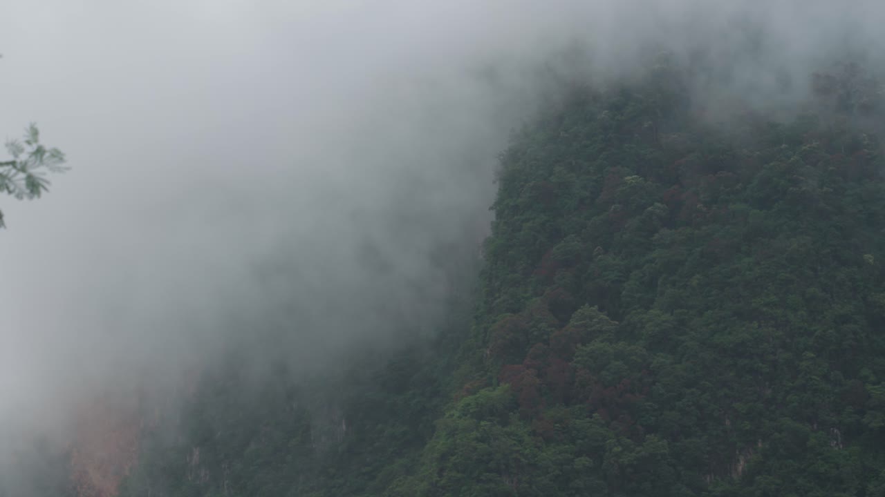 안개가 자욱한 산 풍경
