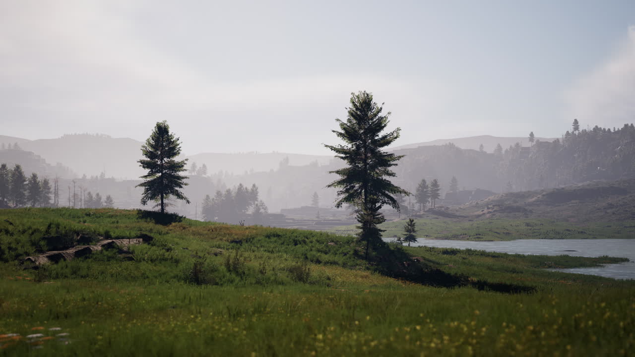 летний пейзаж в карпатских горах