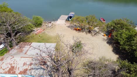 Aerial-Drone-Fly-Above-Baobab-Tree-revealing-The-River-Gambia,-West-Africa-Natural-Landscape