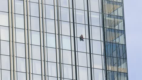 professional window cleaners at work.