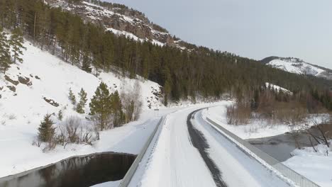 snowy road through a winter forest