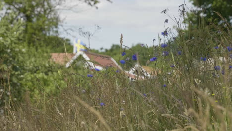 Flower-Meadow-and-Traditional-Summer-House-in-Sweden,-Summer-in-Sweden-scene