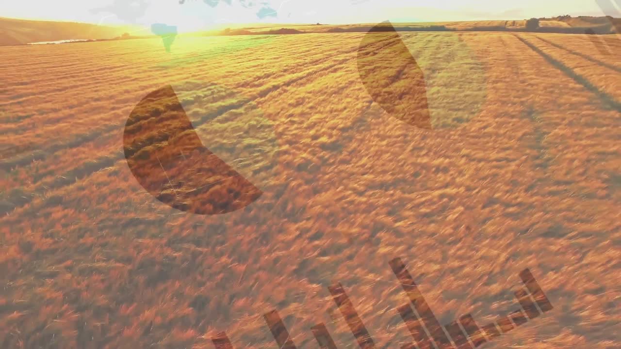 농업 분야의 통계 및 금융 데이터 처리의 활성화