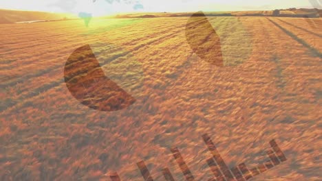 animación de las estadísticas y el procesamiento de datos financieros en el ámbito de la agricultura