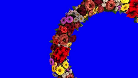 animación de un anillo giratorio de flores en un fondo azul. la clave de croma. video de bucle