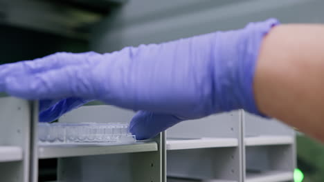 lab technician handling microplate in a laboratory setting
