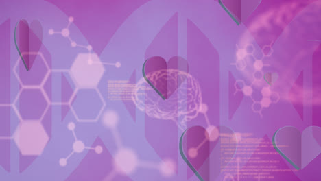 animación de iconos de corazón, cerebro humano y datos sobre cadena de adn en fondo rosa