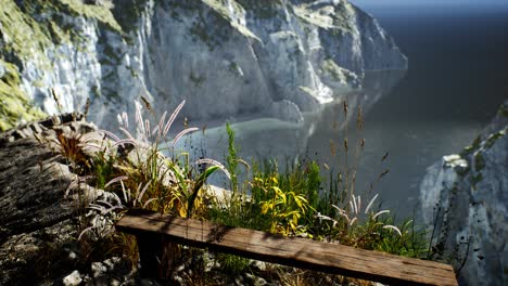 Frisches-Gras-An-Einer-Großen-Felsigen-Klippe-Im-Ozean