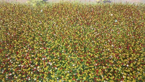 escena de pastizales de pradera de primavera, con coloridas flores y mariposas volando alrededor, entorno natural animación fotorrealista 3d