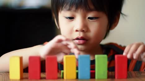 cute asian toddler boy carefully arranging colorful wooden dominoes