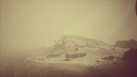rocky cliff with sand beach in deep fog
