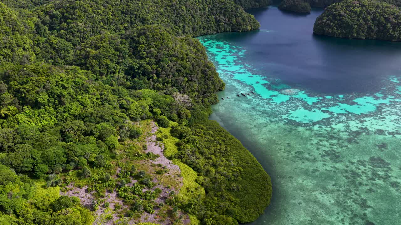 Droneopptak fanger levende tropiske øyer og turkise korallrev under skarpt naturlig dagslys